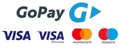 GoPay payment gateway
